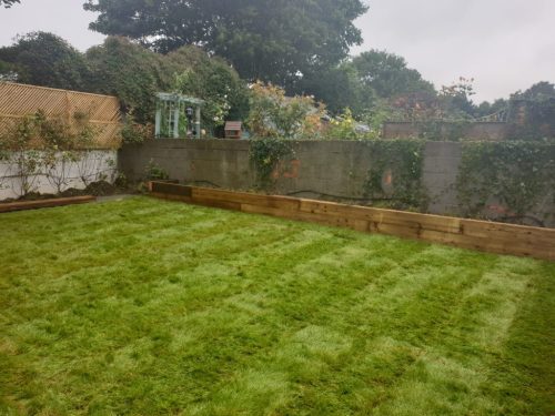 turf lawns limerick 6